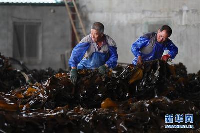 遼寧長(zhǎng)海 海洋牧場(chǎng)迎來(lái)豐收季，線上線下銷售兩旺