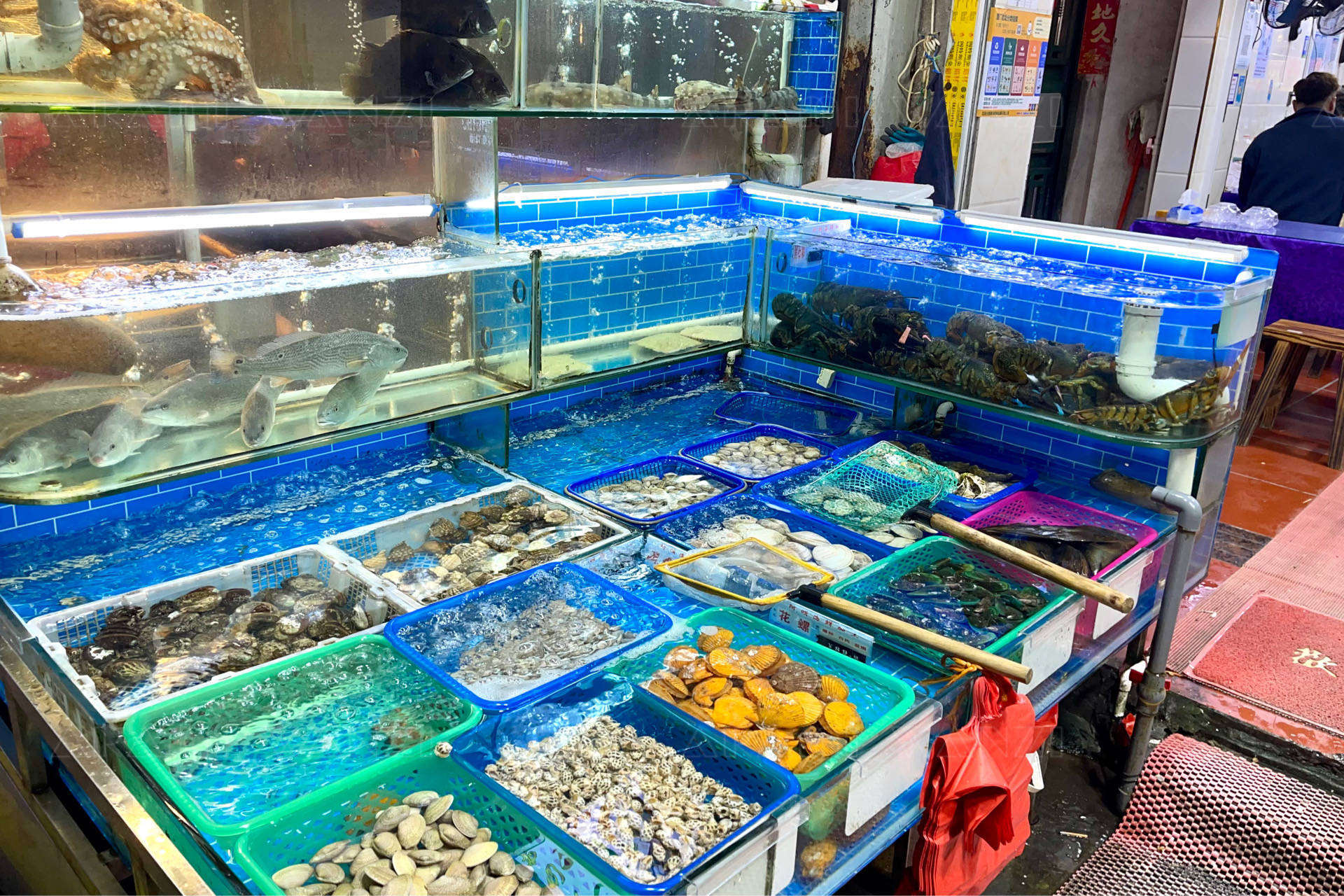 廈門八市里的珍饈 鑲金包銀養(yǎng)殖巴浪魚(yú)，海鮮加工店的獨(dú)特風(fēng)味