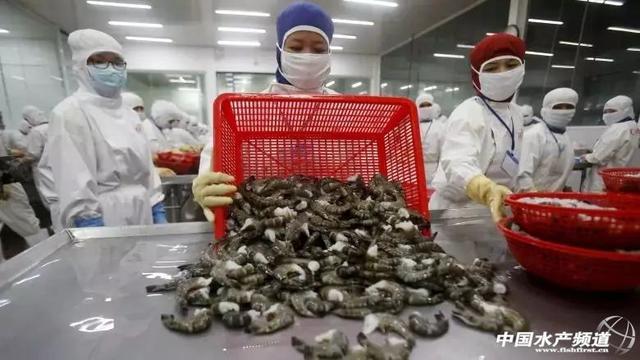 加拿大零售蝦產(chǎn)品驚現(xiàn)“超級(jí)細(xì)菌”，加工廠感染疑為源頭