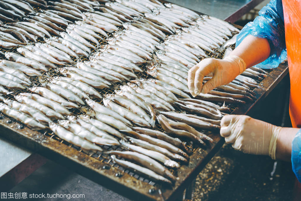 海產(chǎn)品加工 技術(shù)與市場(chǎng)的融合