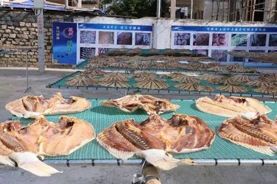 樂(lè)東利國(guó)鎮(zhèn) 黨建引領(lǐng)產(chǎn)業(yè)興，海產(chǎn)加工育苗助推集體經(jīng)濟(jì)“破浪前行”