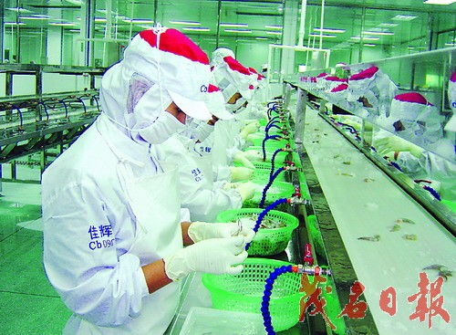 工業(yè)立縣 建設(shè)粵西經(jīng)濟(jì)強(qiáng)縣 海產(chǎn)品加工產(chǎn)業(yè)的戰(zhàn)略引擎